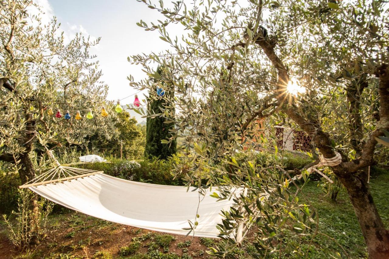 Casetta Di Butia, Appartamento Iris Lucca Bagian luar foto