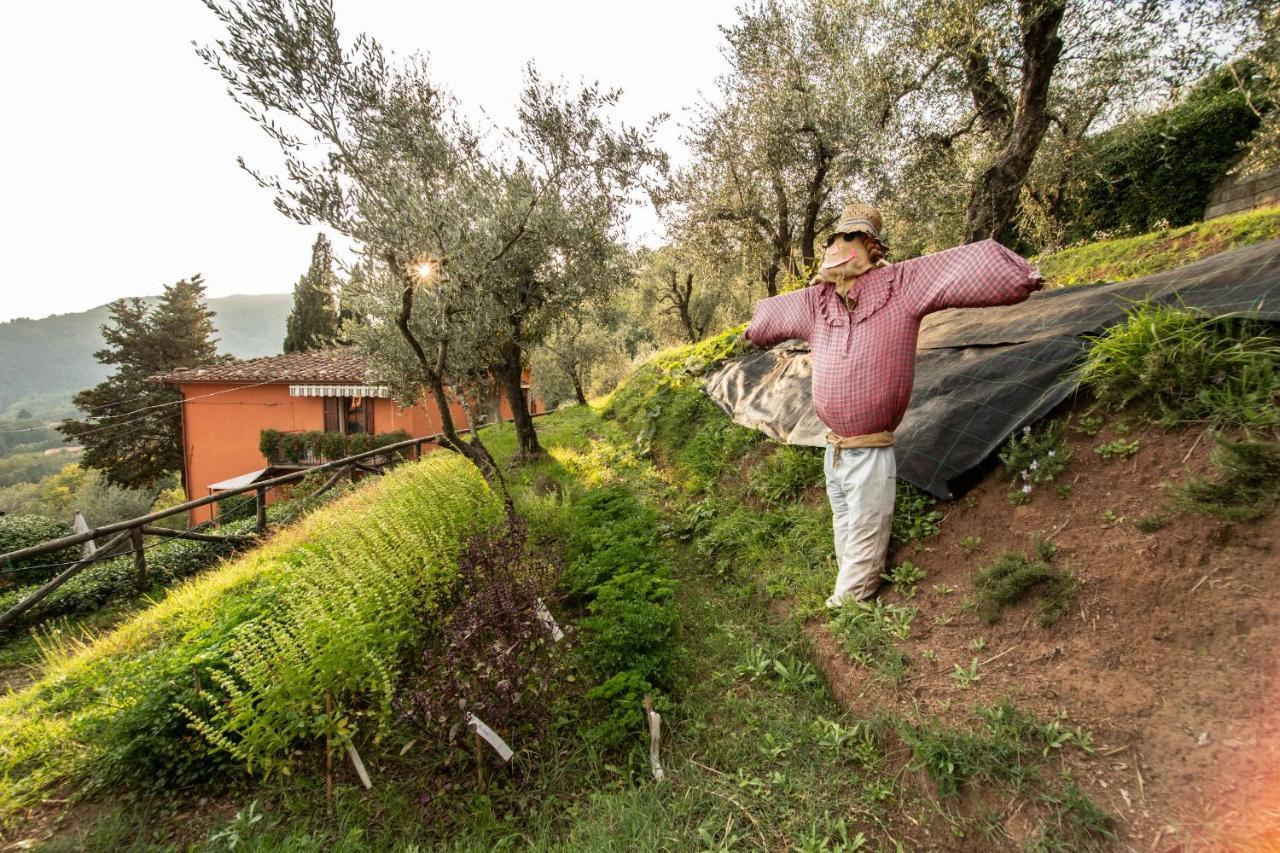 Casetta Di Butia, Appartamento Iris Lucca Bagian luar foto